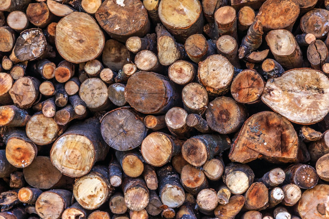 Wood Logs Background