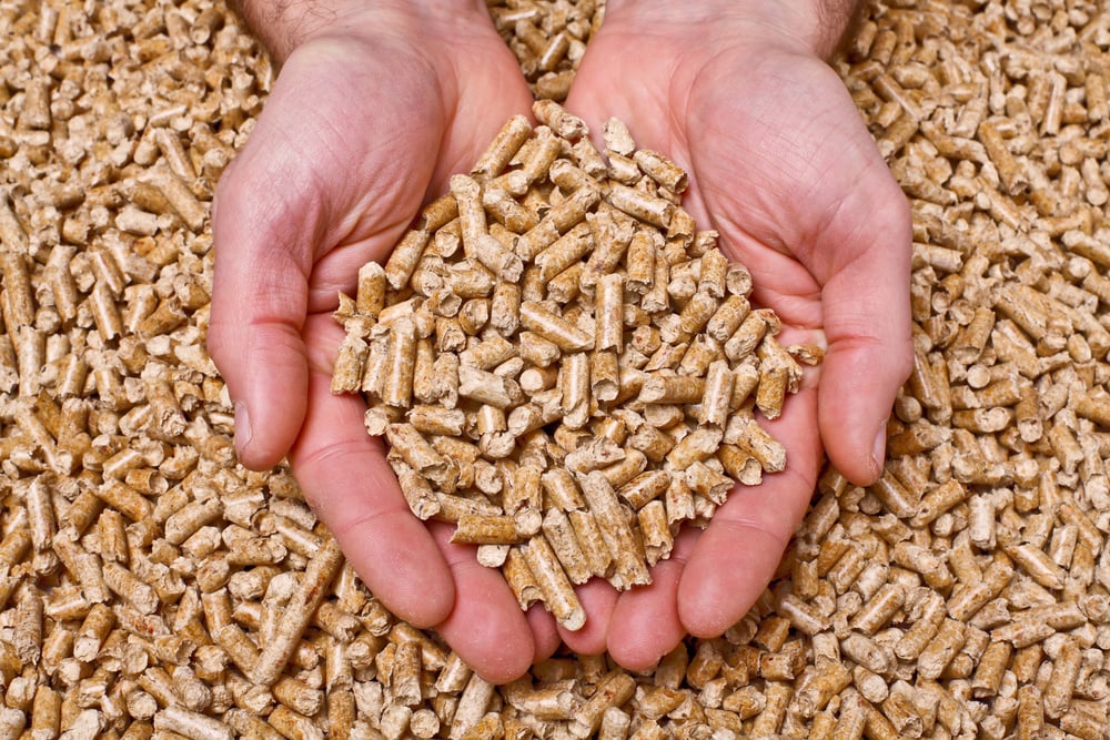 Wood Pellet